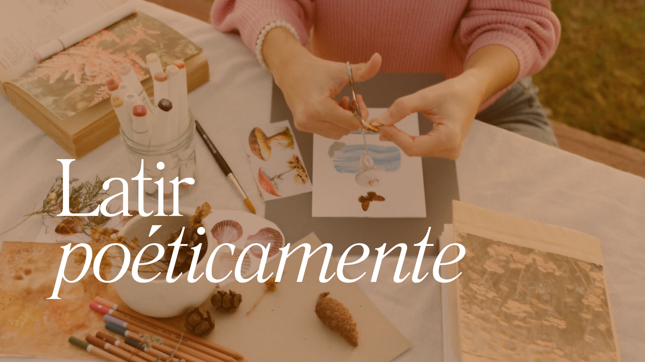 Entrada sin título 1502